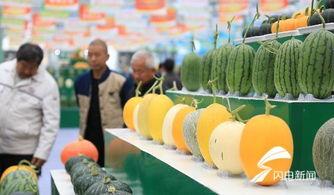 潍坊新瓜最新爆料,揭秘背后惊人真相 第3张 潍坊新瓜最新爆料,揭秘背后惊人真相 第3张